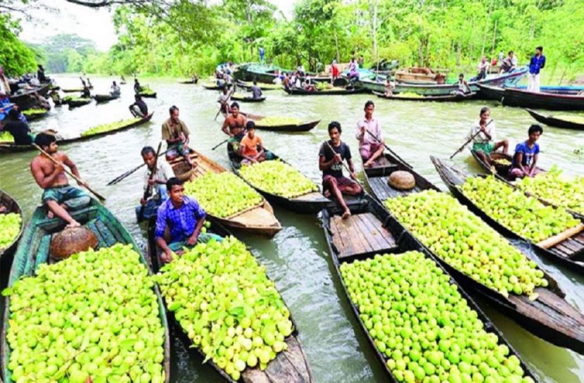 ভাগ্য উন্নয়ন ও অর্থনৈতিক বিপ্লব ঘটবে
