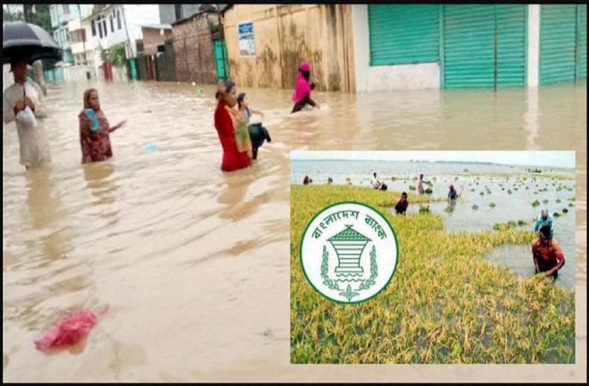 ক্ষতিগ্রস্ত কৃষকদের ঋণ দেওয়ার নির্দেশ
