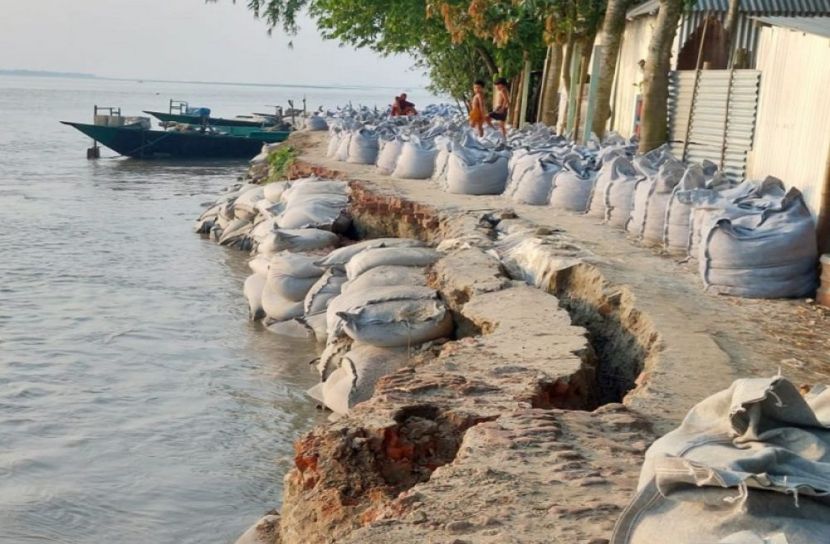 বাঁধ চায় যমুনার ভাঙ্গন কবলিত মানুষ