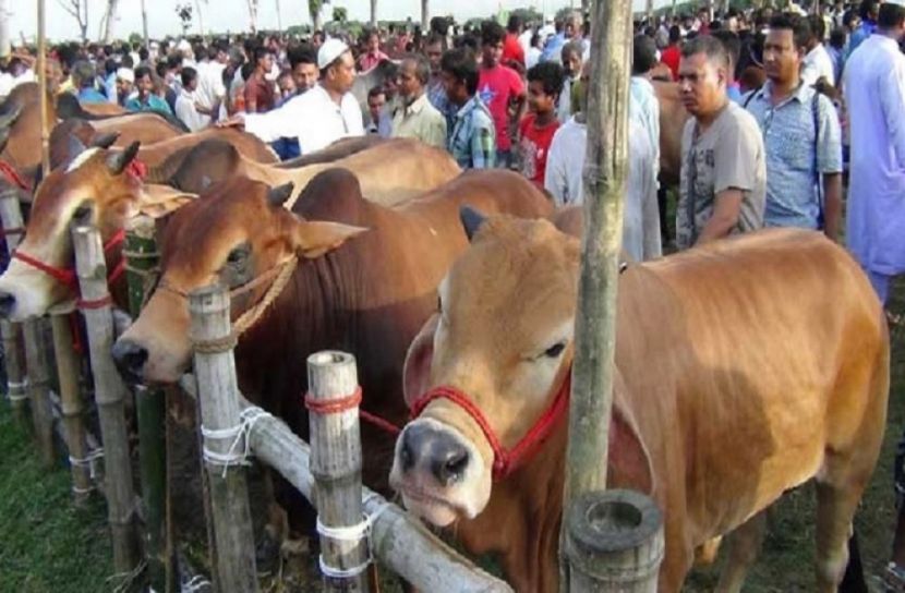 হাটে মানতে হবে ১৬ নির্দেশনা