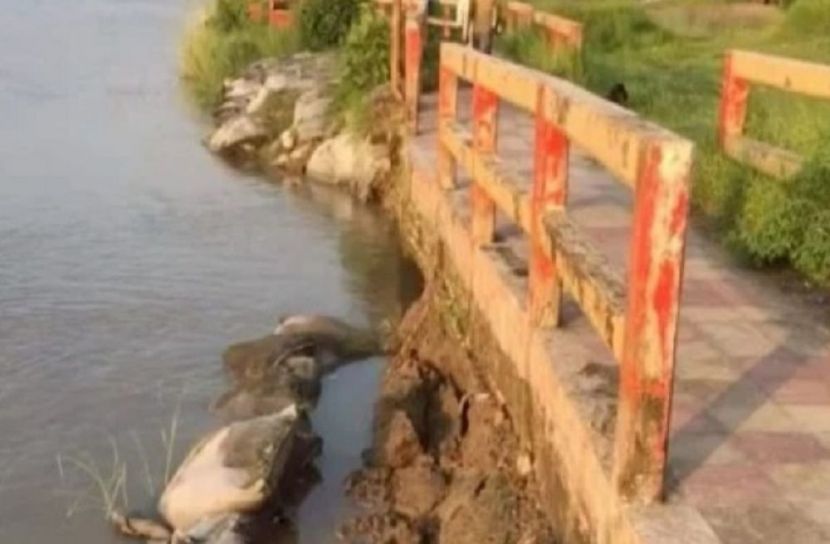 মাদারীপুর শহর রক্ষা বাঁধে ফাটল