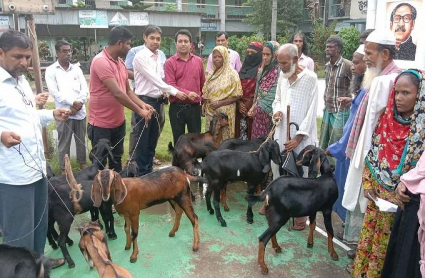 বোয়ালমারীতে ১০ ভিক্ষুক পেল ১০ ছাগল