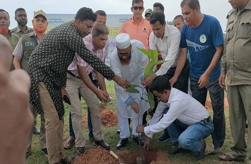 ভালুকায় বৃক্ষ রোপণ কর্মসূচি পালন