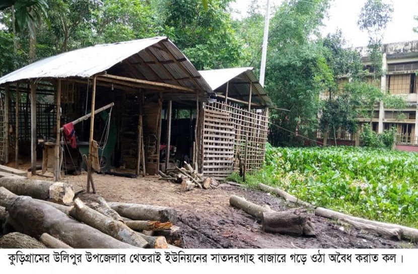 উলিপুরে অবৈধ করাত কলের বিকট শব্দে অতিষ্ট এলাকাবাসী