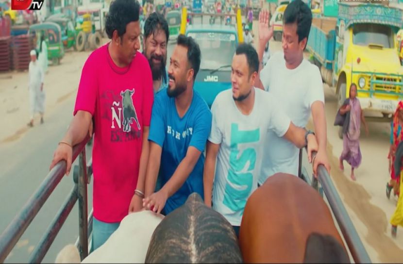 ব্যাচেলরস কোরবানি আজ রাতে