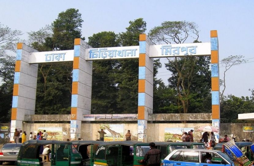 তেমন দর্শনার্থী নেই  চিড়িয়াখানায়