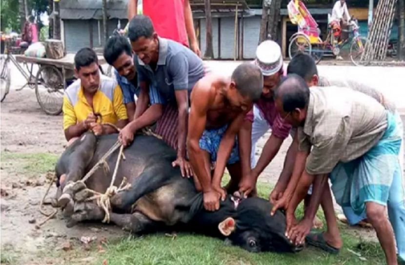 দ্বিতীয় দিনও চলছে পশু কোরবানি