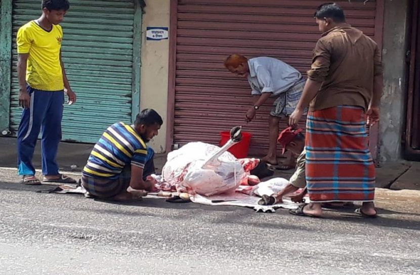 ছবি: সংগৃহীত