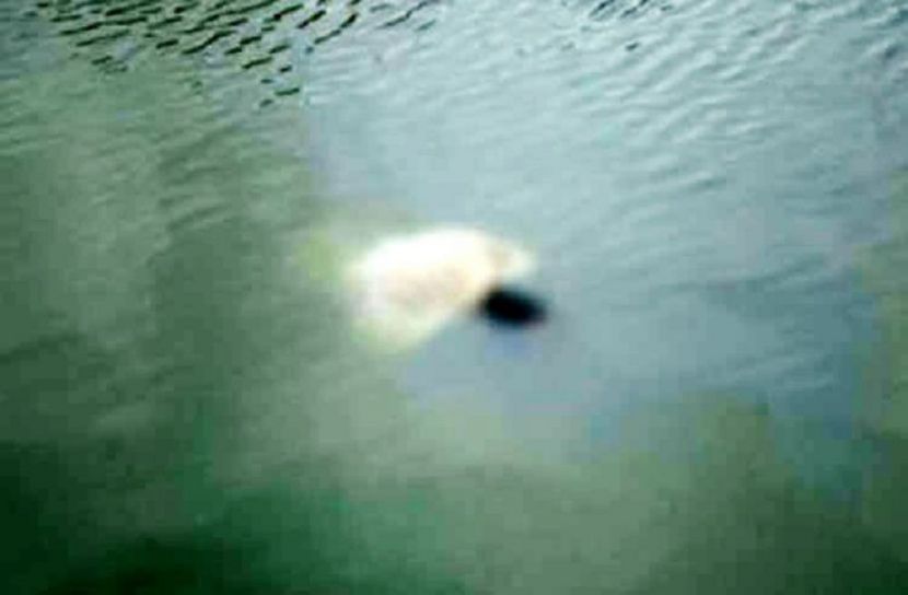 প্রতীকী ছবি