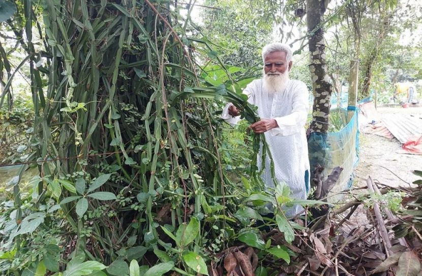 বসতভিটায় শতাধিক প্রজাতির গাছ