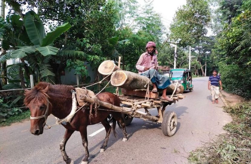 হারিয়ে যাচ্ছে গ্রাম বাংলার ঘোড়ার গাড়ি
