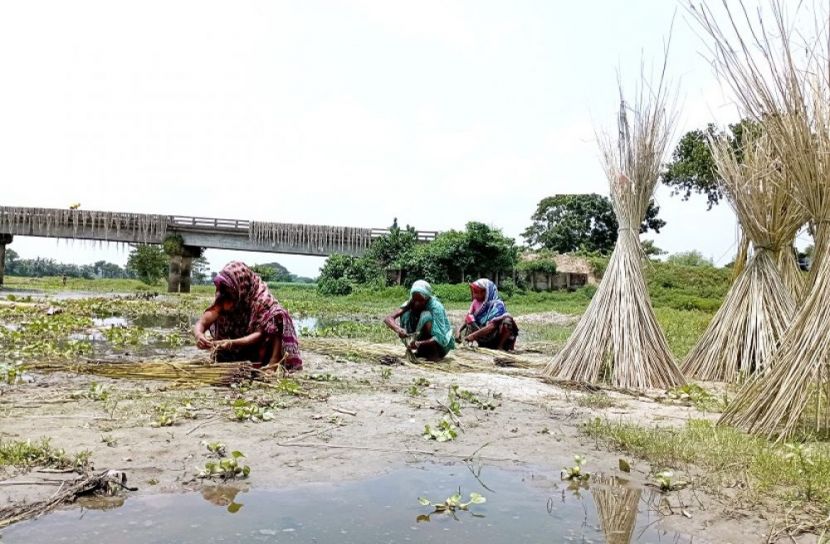 পাটের আঁশ ছাড়াতে ব্যস্ত কৃষক