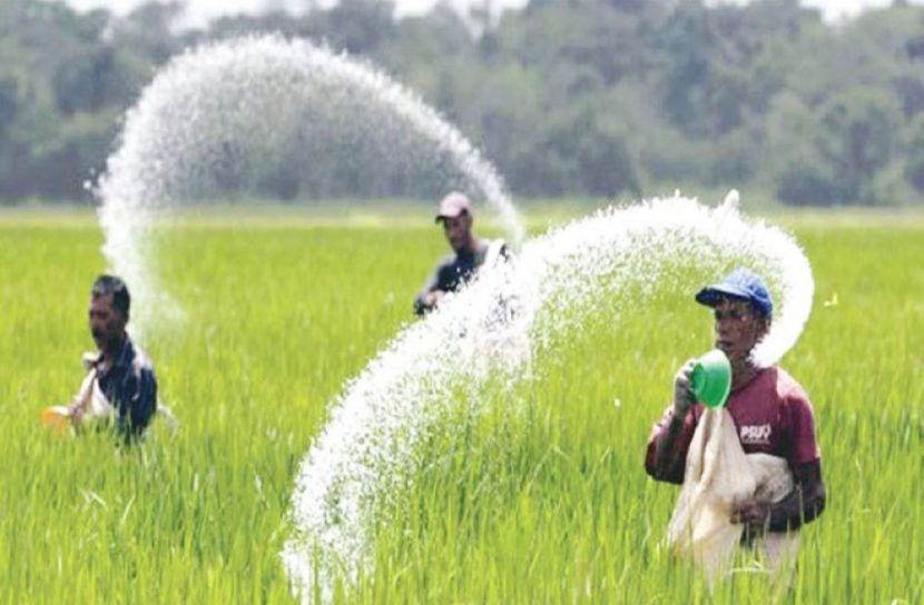 ফের বাড়ল ইউরিয়া সারের দাম