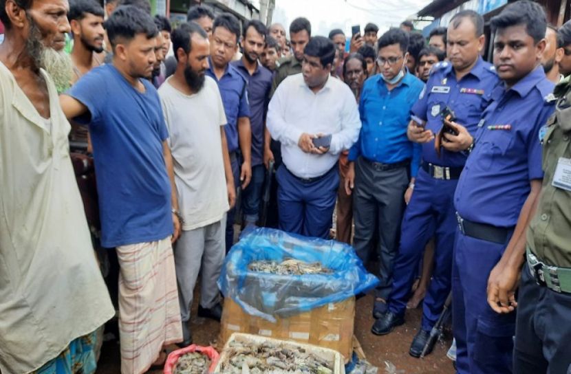নোয়াখালীতে চিংড়িতে জেলি
