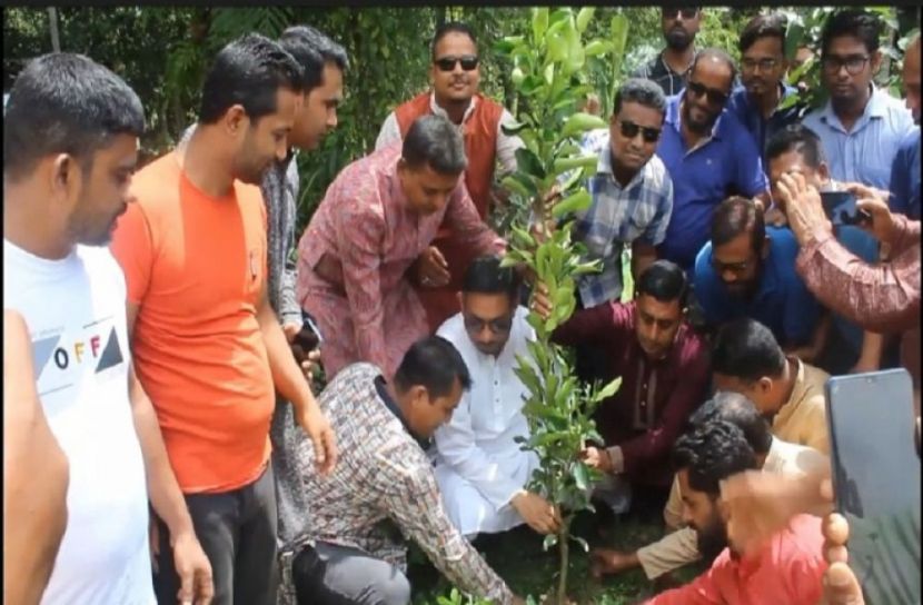 শেখ কামালের জন্মদিন উপলক্ষে বৃক্ষ রোপন কর্মসূচী