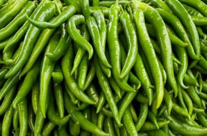 কাঁচামরিচ আমদানি শুরু