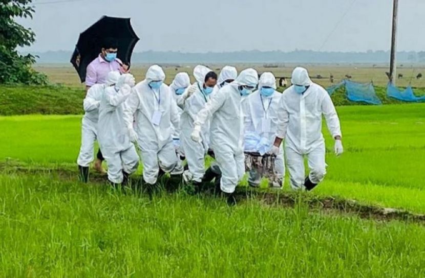 করোনায় আরও ৩ জনের ‍মৃত্যু