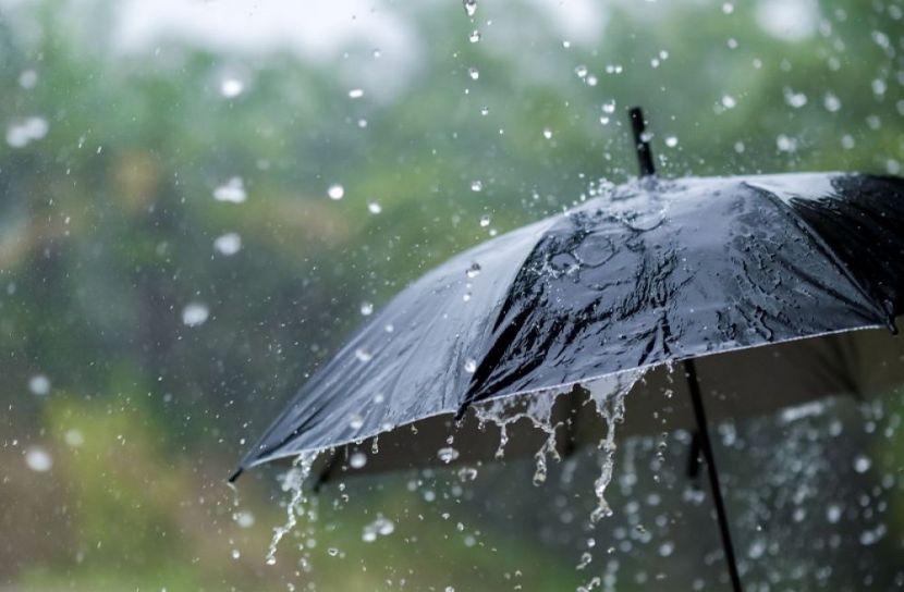 বৃষ্টির পানিতে ক্ষতিকর রাসায়নিক