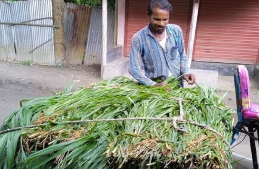 তিনশতাধিক ভ্যান চালকের জীবন চলে ঘাস বিক্রি করে