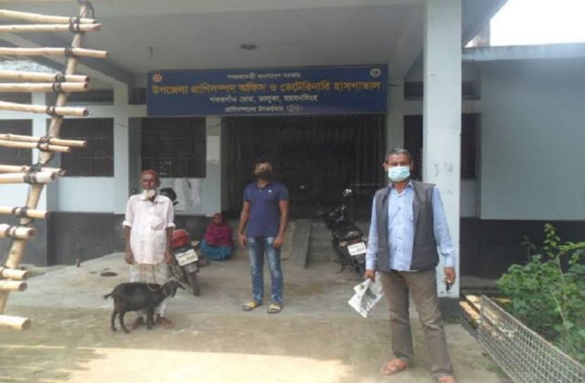 ভালুকায় ভুল চিকিৎসায় মারা গেল খামারীর ৬ টি ছাগল