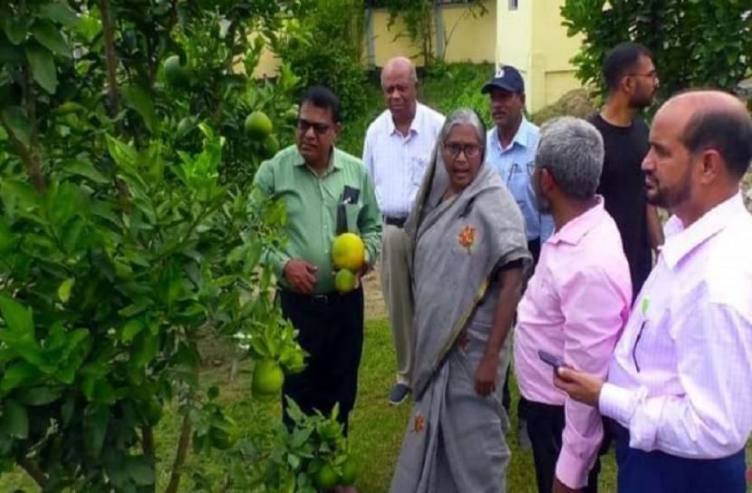 গাইবান্ধা হর্টিকালচার সেন্টারের পুষ্টি উন্নয়ন প্রকল্প পরিদর্শন