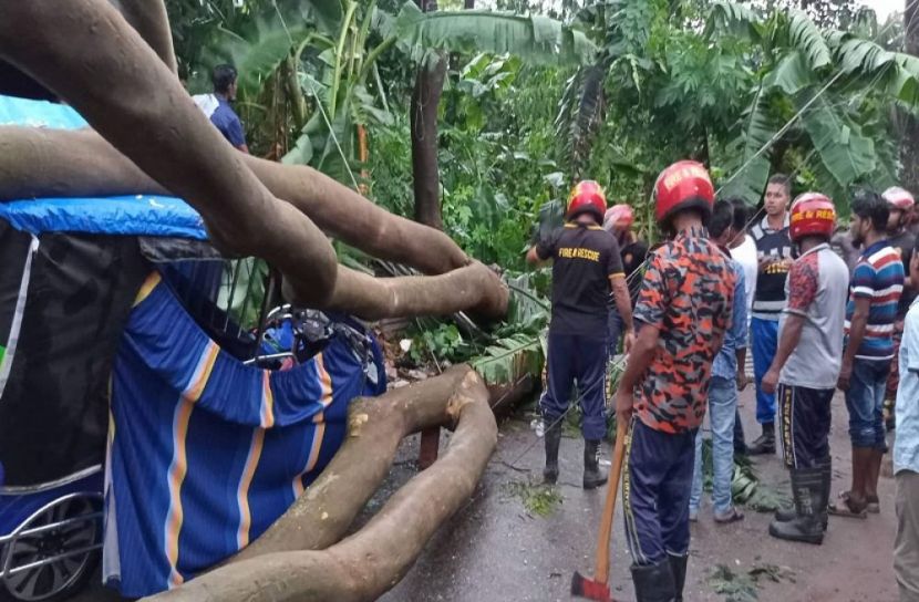 স্বস্তির বৃষ্টিতে গাছপালার ক্ষতি