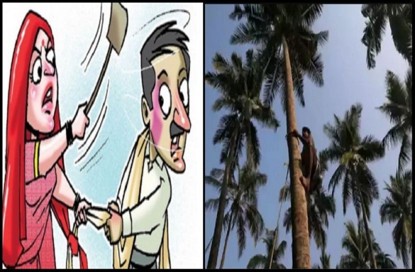 স্ত্রীর 'অত্যাচারে' তালগাছে স্বামী