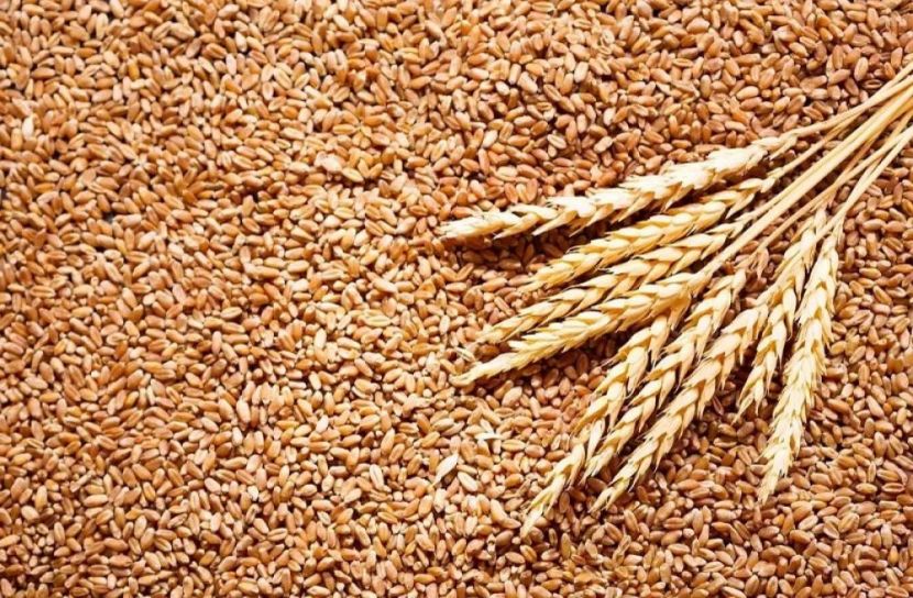 গম আমদানি করবে বাংলাদেশ