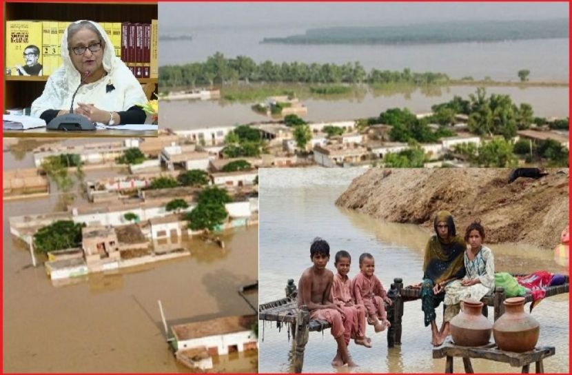 পাকিস্তানে বন্যার্তদের ত্রাণ পাঠাবে বাংলাদেশ
