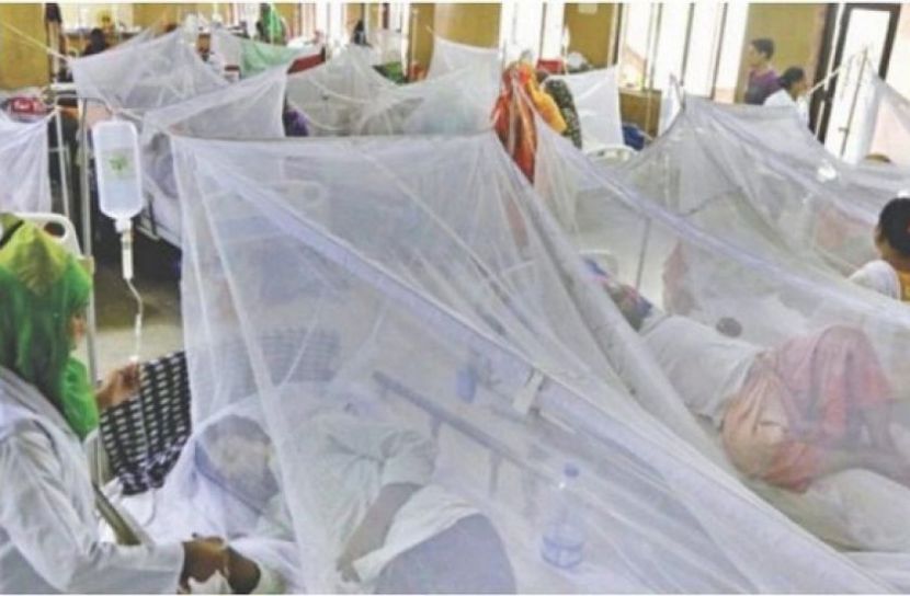 একদিনে রেকর্ড ডেঙ্গুরোগী হাসপাতালে