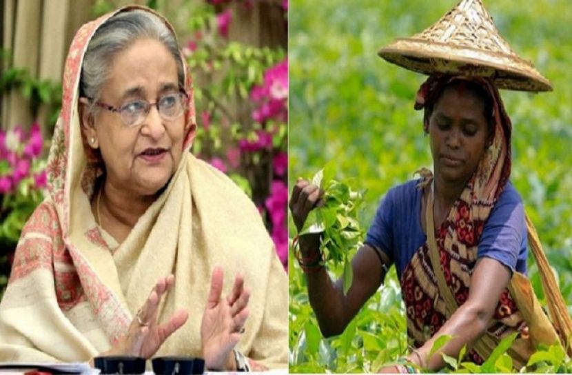 চা শ্রমিকদের ঘর দেবেন প্রধানমন্ত্রী