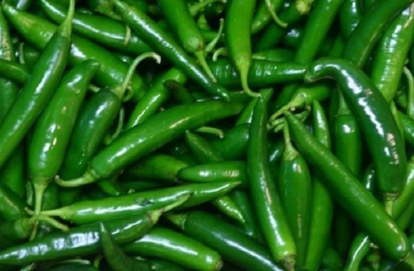 কাঁচা মরিচের দাম কমল!