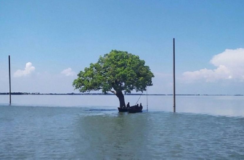 ফাইল ছবি