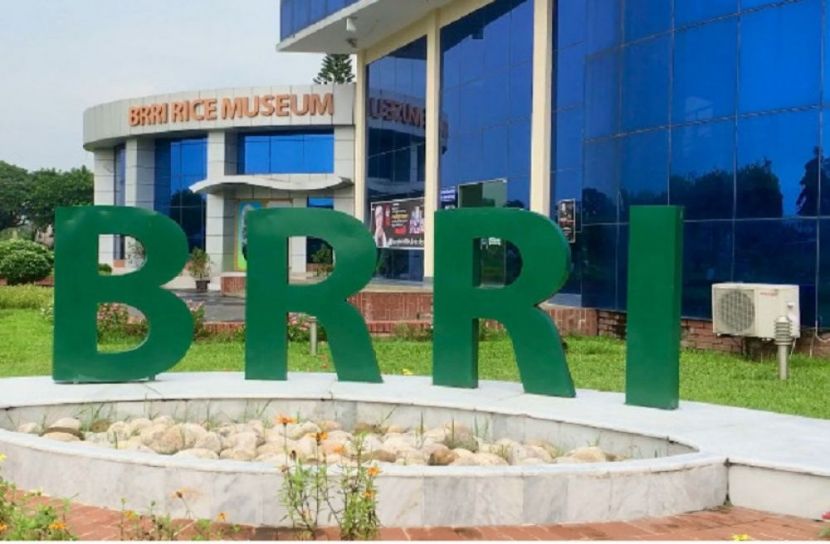 চালু হল দেশের প্রথম চাল যাদুঘর