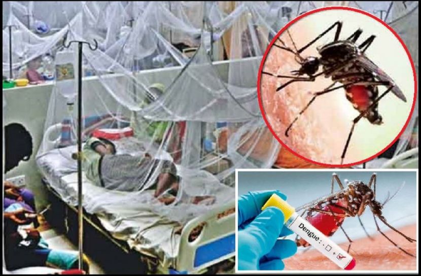 ডেঙ্গুর ভয়াবহতা করোনাকে ছাড়িয়েছে