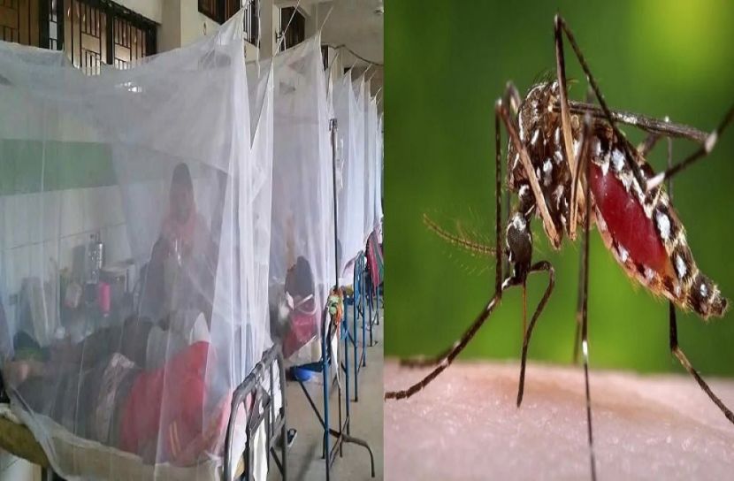 আরও ৩৮৯ হাসপাতালে ভর্তি