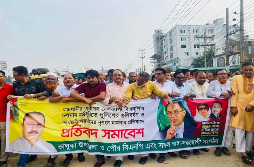 ভালুকায় বিএনপির বিক্ষোভ মিছিল