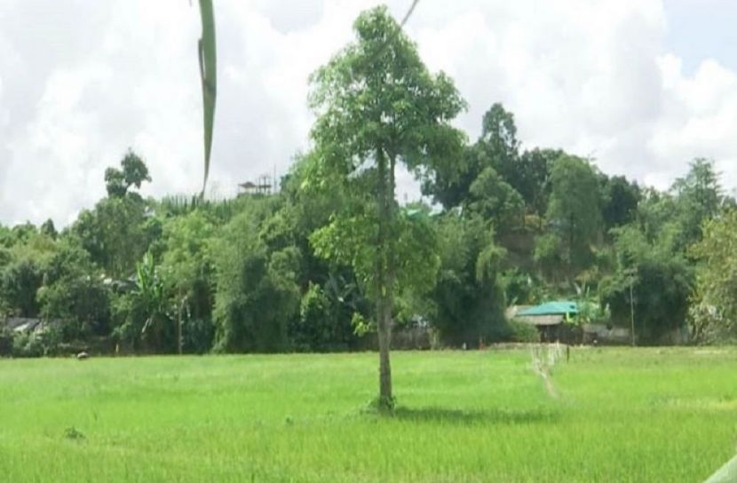উখিয়া সীমান্তে গুলির শব্দ