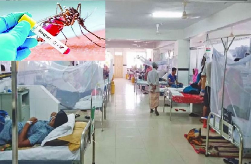 ডেঙ্গুতে মৃতের সংখ্যা বেড়ে ৫০