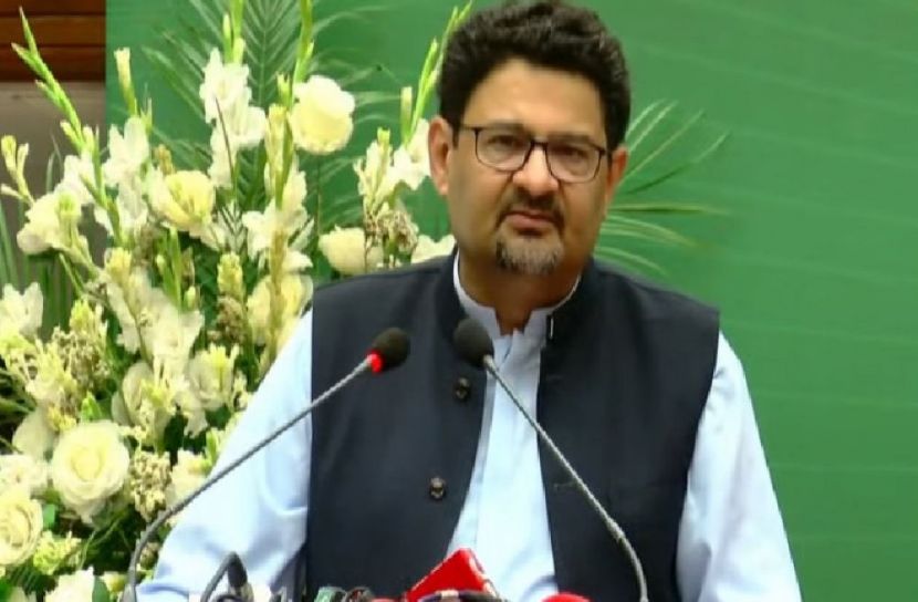 পদত্যাগ করছেন পাক অর্থমন্ত্রী