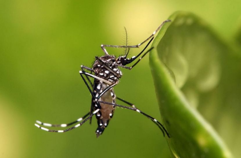 ছবি: প্রতীকী