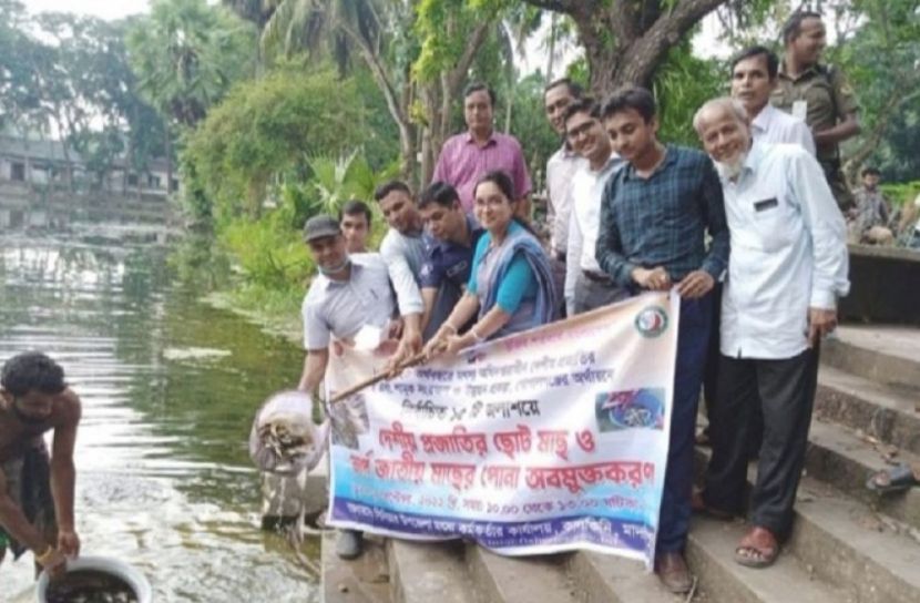 কালকিনিতে মাছের পোনা অবমুক্ত