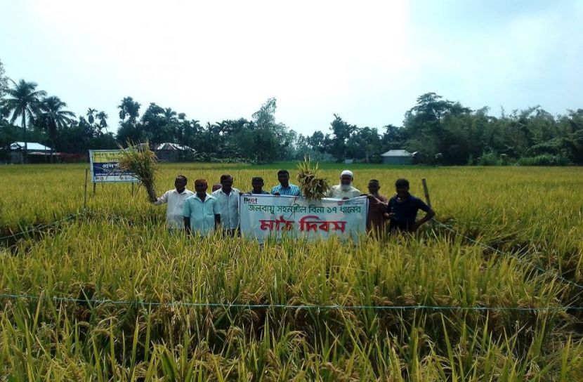 বিনা-১৭ ধানের মাঠ দিবস অনুষ্ঠিত