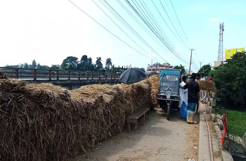 ঈশ্বরগঞ্জে খড় সংকটে খামারিরা