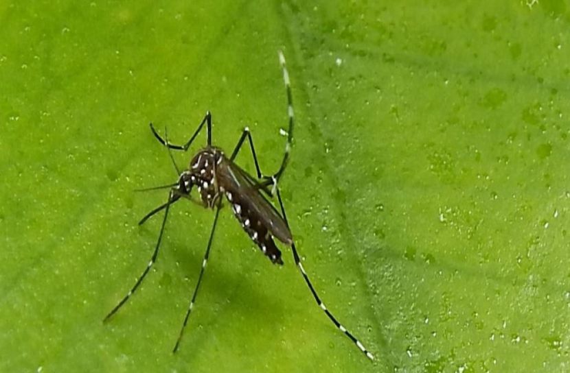 ছবি: প্রতীকী