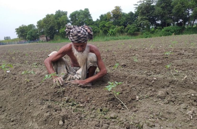 নিঃস্ব ইব্রাহিম ২০ বছর ধরে শ্রমিক