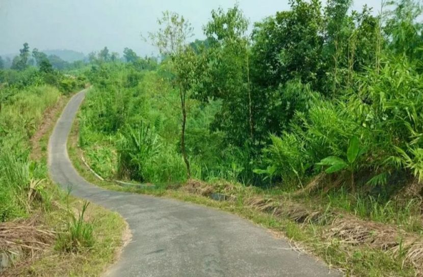 সাজেকে সড়ক যোগাযোগ বন্ধ