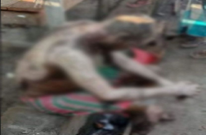 ছবি: সংগৃহীত