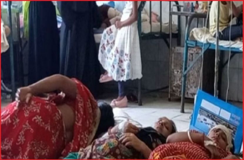 গাছ কাটা নিয়ে সংঘর্ষে নারীসহ আহত ১১