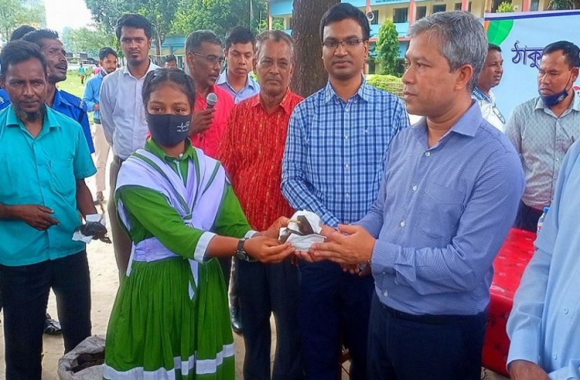 আড়াই লাখ তাল বীজ রোপনের উদ্যোগ